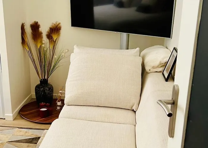 Cosy Au Coeur De Montchat- Confort